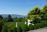 Blick über den Zürichsee