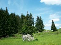 Wanderung auf der Schwägalp