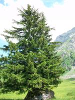 Wanderung auf der Schwägalp