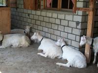 Wanderung auf der Schwägalp