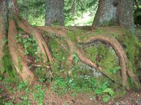 Wanderung auf der Schwägalp