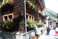 Überall Blumen an den Fenstern