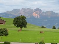 Morgenstimmung in Flüeli-Ranft