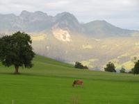 Morgenstimmung in Flüeli-Ranft