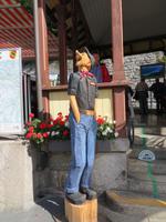 Brienzer Rothornbahn