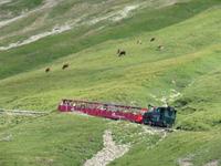 Fahrt mit der Brienzer Rothornbahn