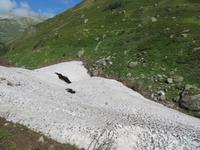 Fahrt mit der Furka-Dampfbahn - Schnee vom letzten Winter