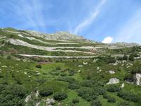 Fahrt mit der Furka-Dampfbahn - Grimselpass-Straße