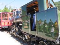 Fahrt mit dem Dampfzug auf die Rigi 
