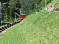 Auf der Rigi - Talfahrt mit dem Elektrozug