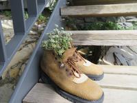 Auf der Schyniggen Platte