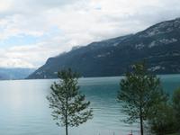 Fahrt entlang des Brienzersees