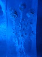 Titlis, Gletschergrotte