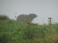Engelberg, am Trübsee