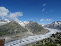 Aletsch-Gletscher vom Bettmerhorn