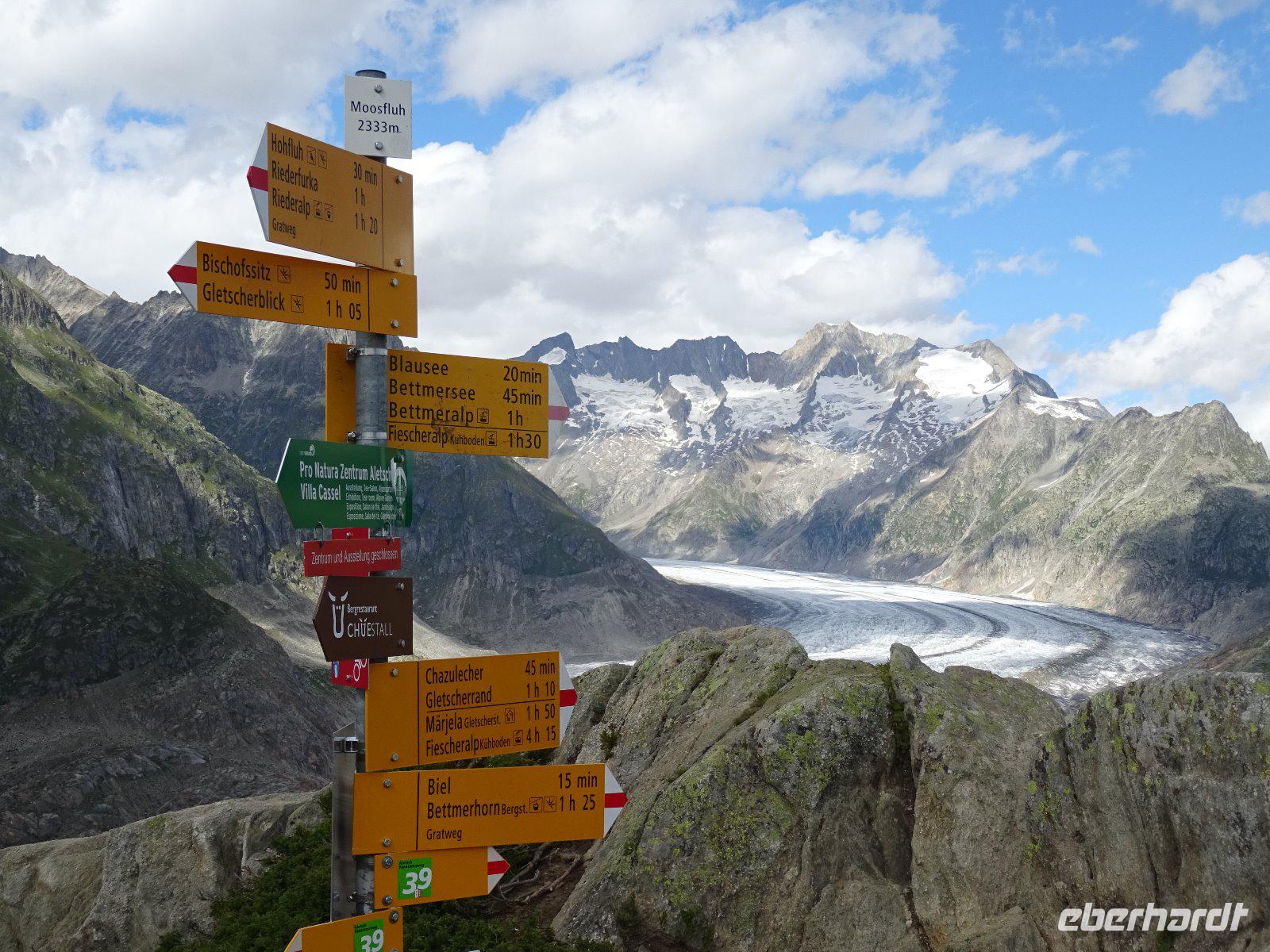 Aletsch-Gletscher von der Moosfluh