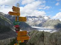 Aletsch-Gletscher von der Moosfluh