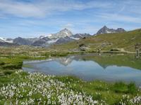 Zermatt, Riffelsee mit Spiegelung