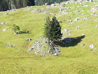 Schwägalp, Wanderung mit Alfred