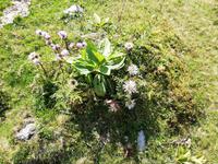 Schwägalp, Wanderung mit Alfred