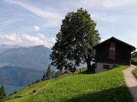 Pilatus, Fahrt mit der Zahnradbahn