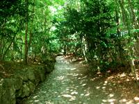 Die Hohle Gasse bei Küssnacht