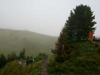 Schynige Platte (Alpengarten)