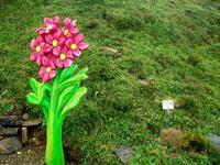 Schynige Platte (Alpengarten)