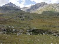 Fahrt mit dem Bernina-Express