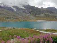 Auf dem Berninapass