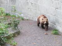 Bern - Bärenpark
