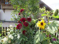 Besuch in der Emmentaler Schaukäserei