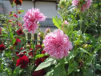 Besuch in der Emmentaler Schaukäserei