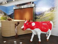 Caslano, im Schokoland Alprose