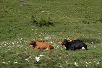 Auf dem Weg ins Val Rosseg