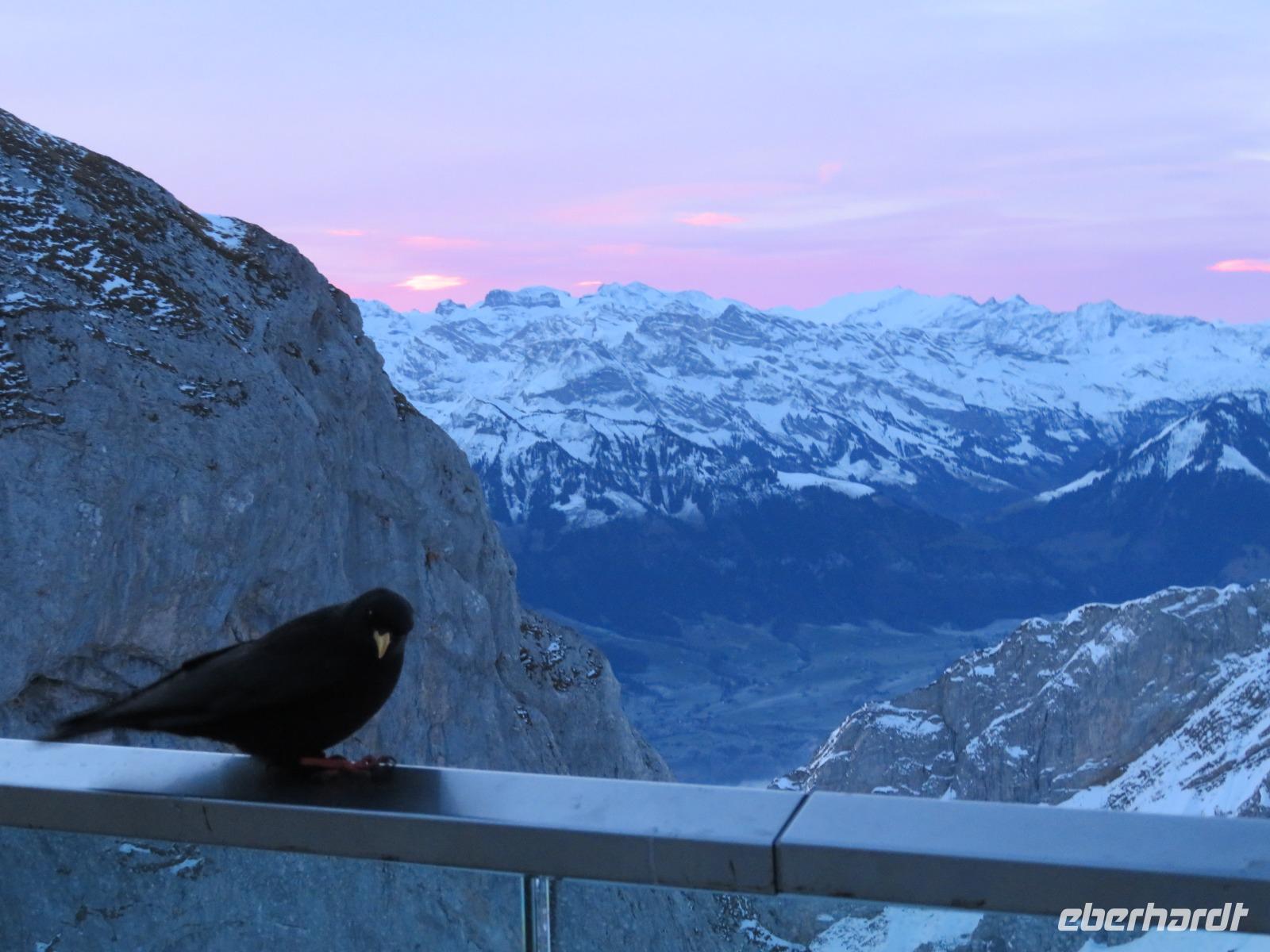 Auf dem Pilatus - Morgenstimmung