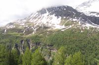 Fahrt mit dem Bernina Express