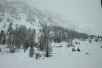 Fahrt durch Winterlandschaft