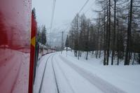 Bernina -Express auf der Fahrt ins Tal