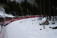 Der Bernina-Express in voller Größe