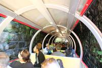 Die Erwartung ist groß