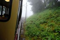 Der Nebel wird dichter