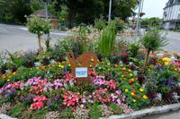 Es gibt mehr Blumen als Gäste 