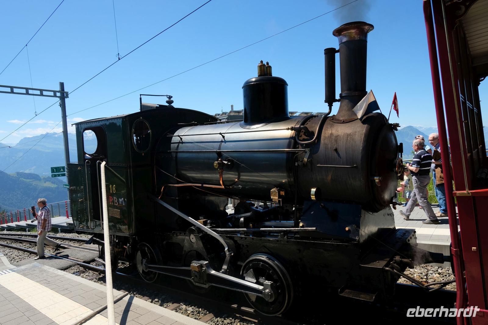 Begehrtes Fotoobjekt