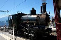 Begehrtes Fotoobjekt