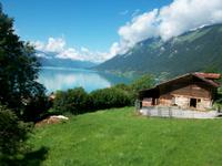 Auffahrt mit der Brienz Rothornbahn 