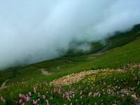 Auf dem Brienz Rothorn 