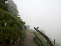 Schynige Platte, Alpengarten