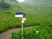 Schynige Platte, Alpengarten