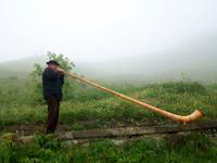 Schynige Platte, Alphornbläser